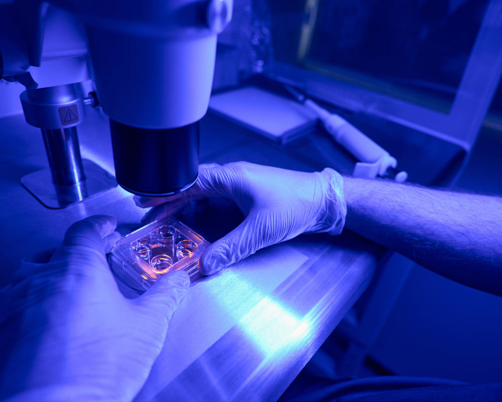 A laboratory scene bathed in blue light with a scientist’s gloved hands handling a petri dish under a microscope. The setup includes a pipette and notepad in the background, in a high-tech and sterile environment.