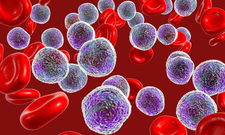A computer-generated microscopic view of blood cells. Many small, round, red blood cells (erythrocytes) are visible against a deep maroon background. Interspersed amongst these red cells are larger, irregularly-shaped, and translucent light purple/blue cells (likely leukocytes, specifically lymphocytes). The purple/blue cells exhibit internal structures that appear darker, giving them a somewhat mottled appearance. The image suggests a blood sample, highlighting the difference in cell types and size.