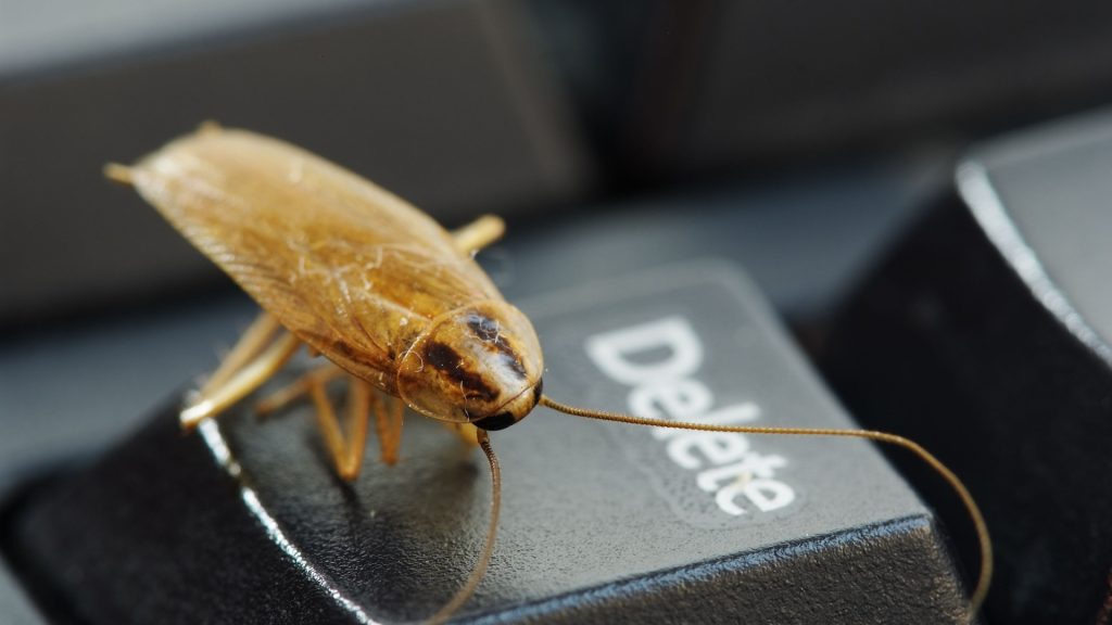 Close-up of a light brown cockroach resting on a black computer keyboard. The cockroach is positioned diagonally on the "Delete" key. Its body is elongated and oval-shaped, with visible segmented legs. The keyboard key is dark gray/black with the word "Delete" printed in white lettering. The texture of the key is slightly rough. The focus is primarily on the cockroach, with the background keyboard keys out of focus, creating a shallow depth of field. A thin piece of light brown thread or string is visible extending from the cockroach downwards to the keyboard.