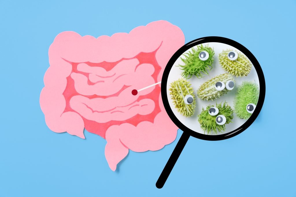 A light-pink, paper-cut-out representation of the human small intestine is positioned on a light-blue background. A small, dark-red dot is visible inside the intestine, presumably indicating a point of focus or a location. A magnifying glass, outlined in black, is positioned over a cluster of small, light-green objects that appear like seeds or pods. These small objects have small black googly eyes and fuzzy, spiky textures. The objects in the magnifying glass are visually distinct from the surrounding structures, and likely represent microorganisms.